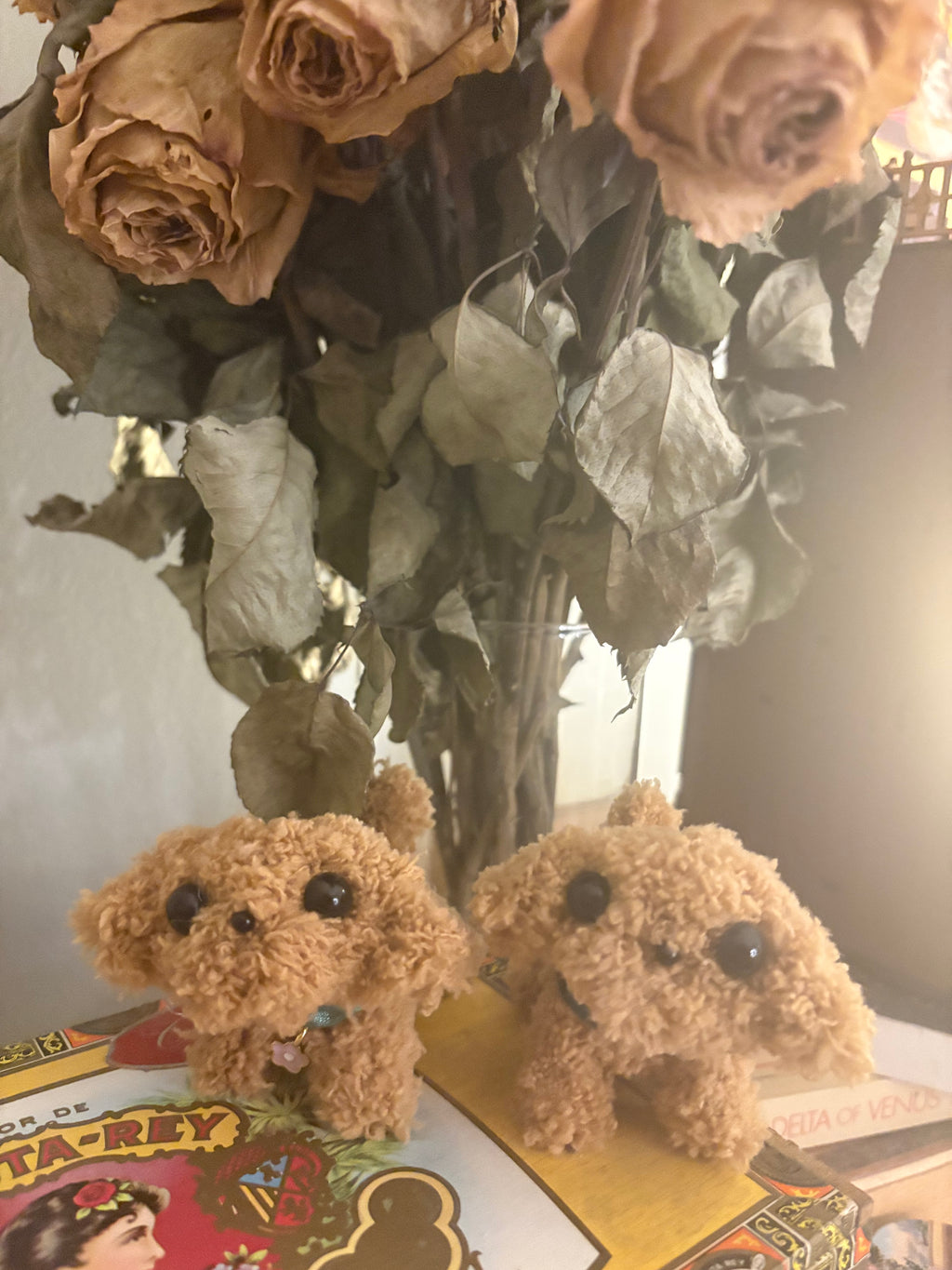 The Goldendoodle Twins