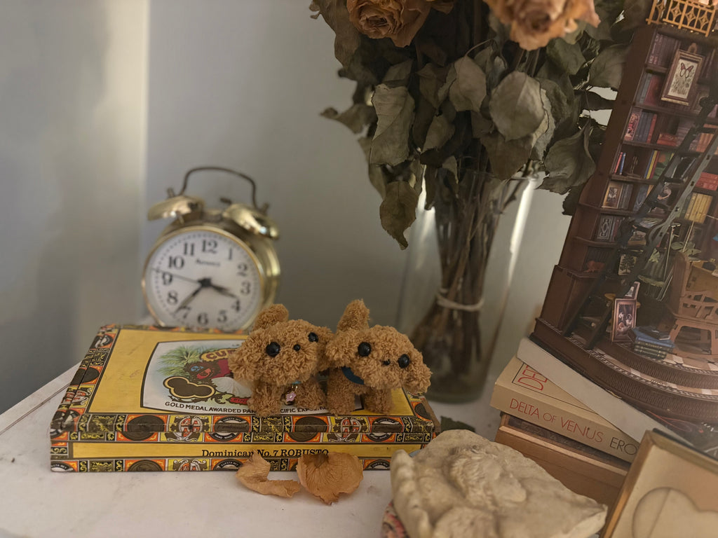 The Goldendoodle Twins